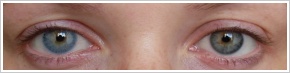 FreshLook Colors / Blue - 