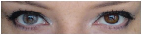 FreshLook Colors / Misty gray - 