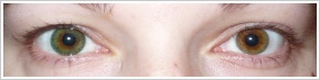 FreshLook Dimensions / Sea green - 