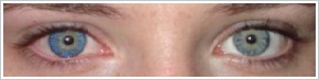 FreshLook ColorBlends / True sapphire - 