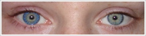 FreshLook ColorBlends / True sapphire - 