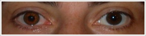 FreshLook ColorBlends / Honey - 