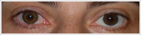 FreshLook ColorBlends / Pure hazel - 