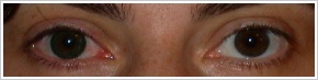 FreshLook Dimensions / Sea green - 