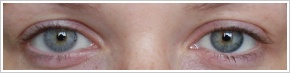 FreshLook Colors / Misty gray - 