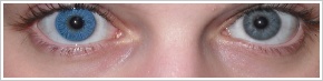 FreshLook Colors / Sapphire blue - 