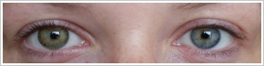 FreshLook ColorBlends / Pure hazel - 