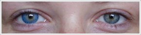 FreshLook ColorBlends / True sapphire - 