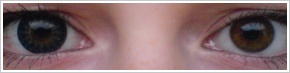 ColourVUE Glamour / Blue - 