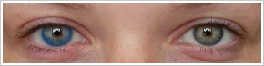 FreshLook Colors / Sapphire blue - 