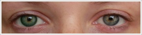 FreshLook Dimensions / Sea green - 
