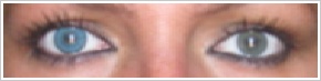 SofLens Natural Colors / Pacific - 