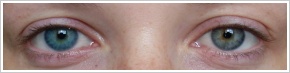 Acuvue 2 Colours - tónovací / Modrozelená - 