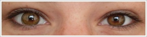 FreshLook ColorBlends / Pure hazel - 