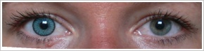SofLens Natural Colors / Pacific - 