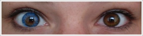 FreshLook ColorBlends / True sapphire - 