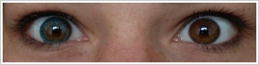 FreshLook ColorBlends / Turquoise -