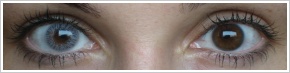 FreshLook Colors / Misty gray - 