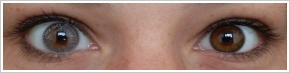 FreshLook Colors / Misty gray - 