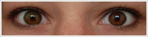 FreshLook ColorBlends / Green -
