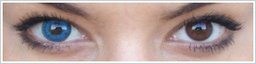 FreshLook ColorBlends / Briliant blue - 