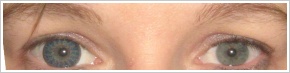 ColourVUE Glamour / Blue - 