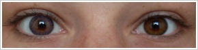 FreshLook ColorBlends / Amethyst -