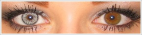 SofLens Natural Colors / Platinum -