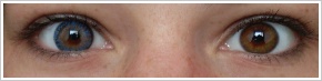 FreshLook ColorBlends / Blue -