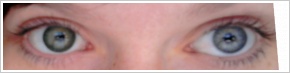 ColourVUE 3 Tones / Green -