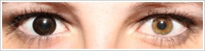 ColourVUE Big Eyes / Dolly black -