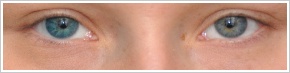 Acuvue 2 Colours - tónovací / Modrozelená -