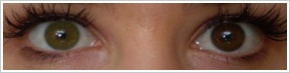 Acuvue 2 Colours - krycí / Zelená -