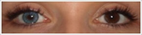 SofLens Natural Colors / Pacific - 