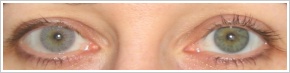FreshLook Colors / Misty gray - 