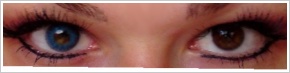 FreshLook ColorBlends / Briliant blue - 