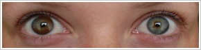 Acuvue 2 Colours - krycí / Kaštanová -