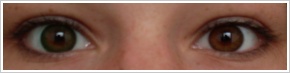 FreshLook Dimensions / Sea green - 