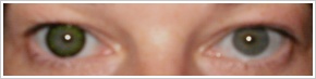ColourVUE Big Eyes / Party green -