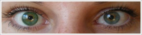 FreshLook Dimensions / Sea green -