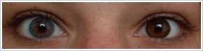 FreshLook Colors / Blue - 