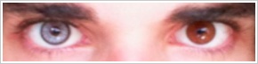 SofLens Natural Colors / Platinum - 