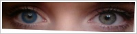 FreshLook Colors / Sapphire blue -