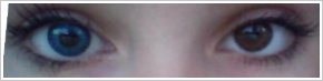 FreshLook ColorBlends / Briliant blue - 