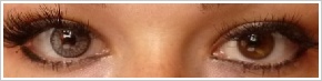 SofLens Natural Colors / Platinum - 