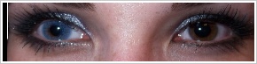 FreshLook Colors / Blue - 