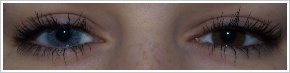 FreshLook Colors / Blue - 