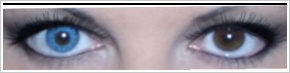 Acuvue 2 Colours - krycí / Modrá -