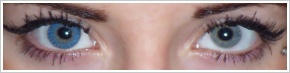 FreshLook ColorBlends / True sapphire - 