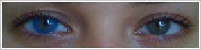 Acuvue 2 Colours - krycí / Modrá -